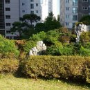 법무사 - 3018 | 법무사