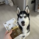 경기한펫 | 펫사료 휴먼그레이드 사료 기호성 좋은 영양스튜