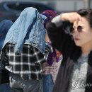 봄볕
