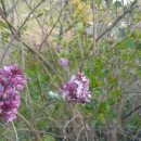 금암우족탕 이미지