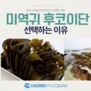 미역귀 후코이단 선택하는 이유