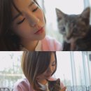 써니농장 이미지