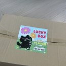 교보문고 Lucky box 럭키박스 19,900원 언박싱 후기 !!