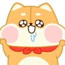 박진헤어 이미지