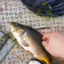 천평낚시터 이미지