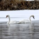 여주-1033 이미지