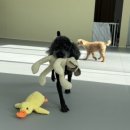 데이멍스 이미지