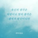 머물다가 이미지