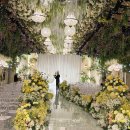 네이쳐 | 더베뉴지서울 웨딩홀투어 후기 베뉴지홀 아트홀 네이쳐홀 비교