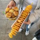 알까네 펫드라이브 | 26년 02월(1)- 두쫀쿠맛을 알아버린 인간의 말로 (취뽀함)