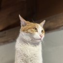 해녀촌식당 이미지