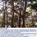[김제] 모악산(793.5m) 산행후기---2019년 4월 16일(화) 이미지