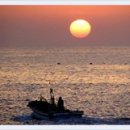 포항바다화석박물관 이미지