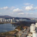 삼성IT부동산공인중개사사무소 이미지