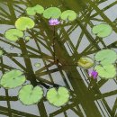 서부환경주식회사 이미지