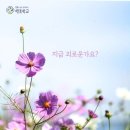 살아있는 모든 사람은 행복할 권리가 있어요 이미지