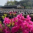 강산해 농장 이미지