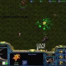 인스네어(ENSNARE) Daum카페