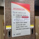 로얄 게임랜드 이미지