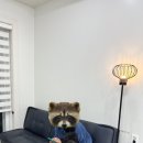 꼰띠고애견펜션1 이미지