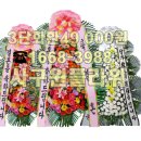 원플라워 이미지