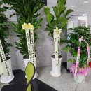 [보도자료] 사단법인 옻칠나전전승공예교육협회 창립총회 개최 in 인천광역시교육청학생교육문화회관 이미지