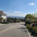 풍차랑 허브랑 이미지