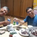 형아네민박 이미지