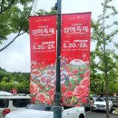 예우푸드 | 울산대공원 장미축제 2026 입장료 주차정보 주차요금 행사프로그램 직접 다녀온 후기