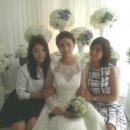 S.T엔터테이먼트 이미지