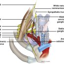 압구정한의원 이미지