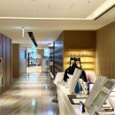 대구메리어트호텔 '인피니티풀' 이미지