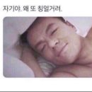 쉐프의찬s | 25년 연말 먹방 일기(스시소라,ac호텔 바이 메리어트,요닝,템퍼배게후기)