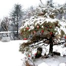 펀치레이디 이미지