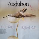 2023년 Audubon Photo Awards에서 우리가 가장 좋아하는 매혹적인 새 행동 이미지
