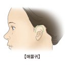 귀일지 이미지