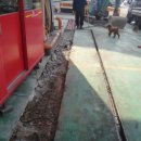 안국주유소 이미지