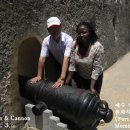 바오밥나무기타 이미지