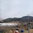 김화자농장 이미지