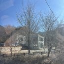 6449 | 대전 근교 가볼만한 곳 애견동반 카페 추천 공주 엔학고레