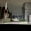 삼계탕전문점하림 | [평택 삼계탕전문점 하림] 송탄에 있는 복날에 가기 좋은 누룽지삼계탕 맛집 내돈내산 솔직후기쓰