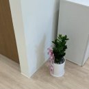 아이윌학원 - 천안시 동남구 충절로 311 | 양산영어학원 아이윌영어교습소 상담받고 꼼꼼하게 알아본 후기
