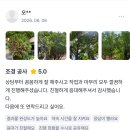 푸른조경 - 완주군 은하율소로 2 | [공지] 강남 압구정 아파트 화단 조경 작업 후기, 숨고 만족도 높은 이유와 초보 가드닝 꿀팁까지!