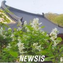 화정사 이미지
