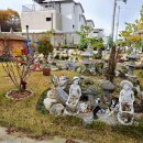 달달청과 이미지