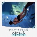 이다사