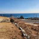 영덕공인중개사사무소 이미지