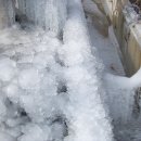 소나농장 이미지