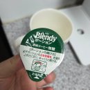 포션 | 홈카페 필수템 블렌디(Blendy) 포션 커피 후기