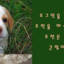 우창사 티스토리